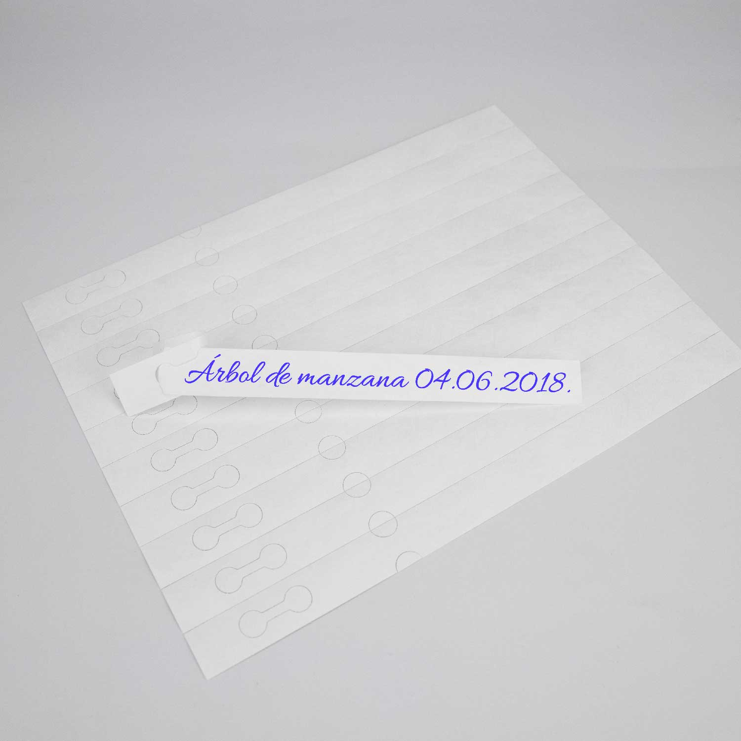 Applicazione rapida per etichettare centinaia di piante velocemente.