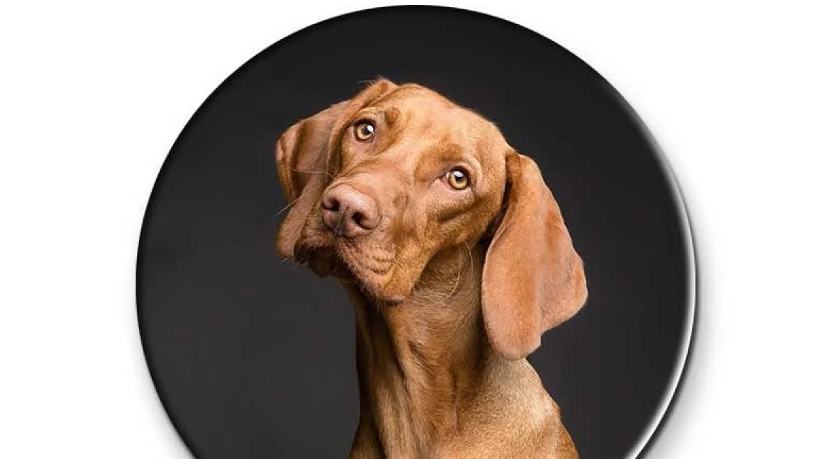 Matériau bois naturel pour une touche chaleureuse et élégante.