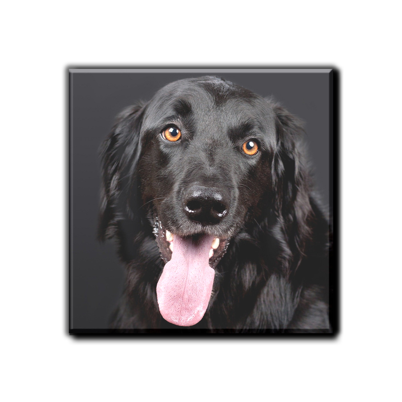 Stampa HD di qualità superiore su legno naturale per risultati nitidi.