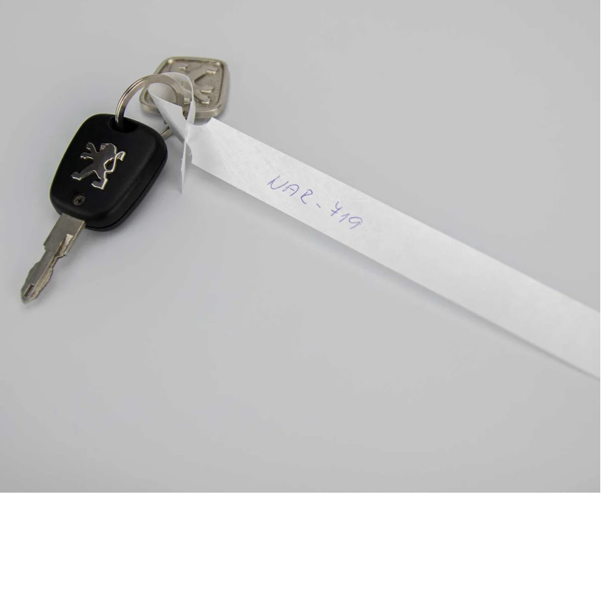 Materiale Tyvek resistente all'acqua e agli strappi per uso intensivo.