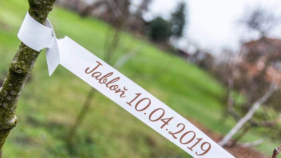 Système de boucle auto-verrouillante pour une fixation rapide.