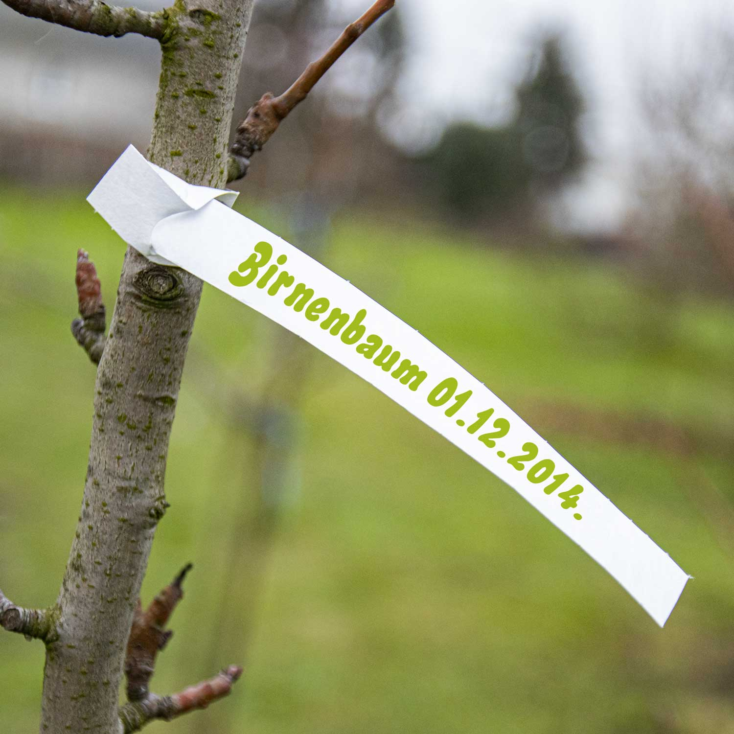 Colori multipli disponibili per organizzazione visiva efficiente.