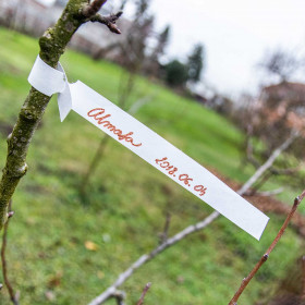 Tyvek Schlaufenetiketten 19x250 mm