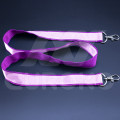 Bedruckte Premium Lanyards mit Doppelkarabiner