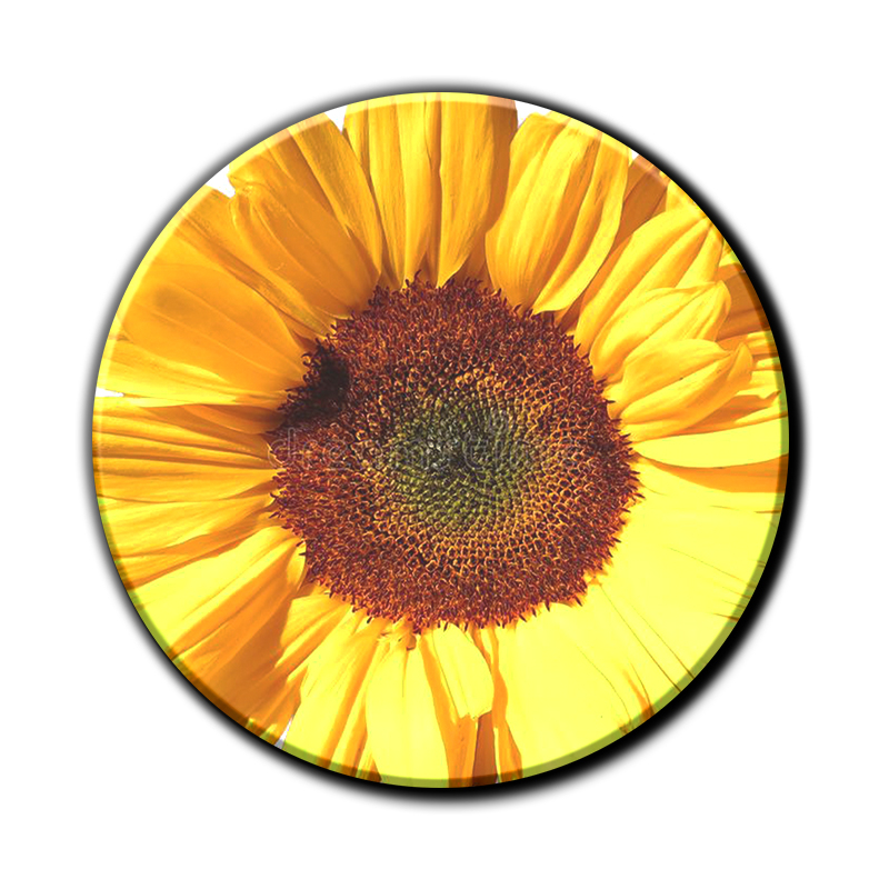 Stampa a colori vividi che cattura ogni dettaglio con precisione.