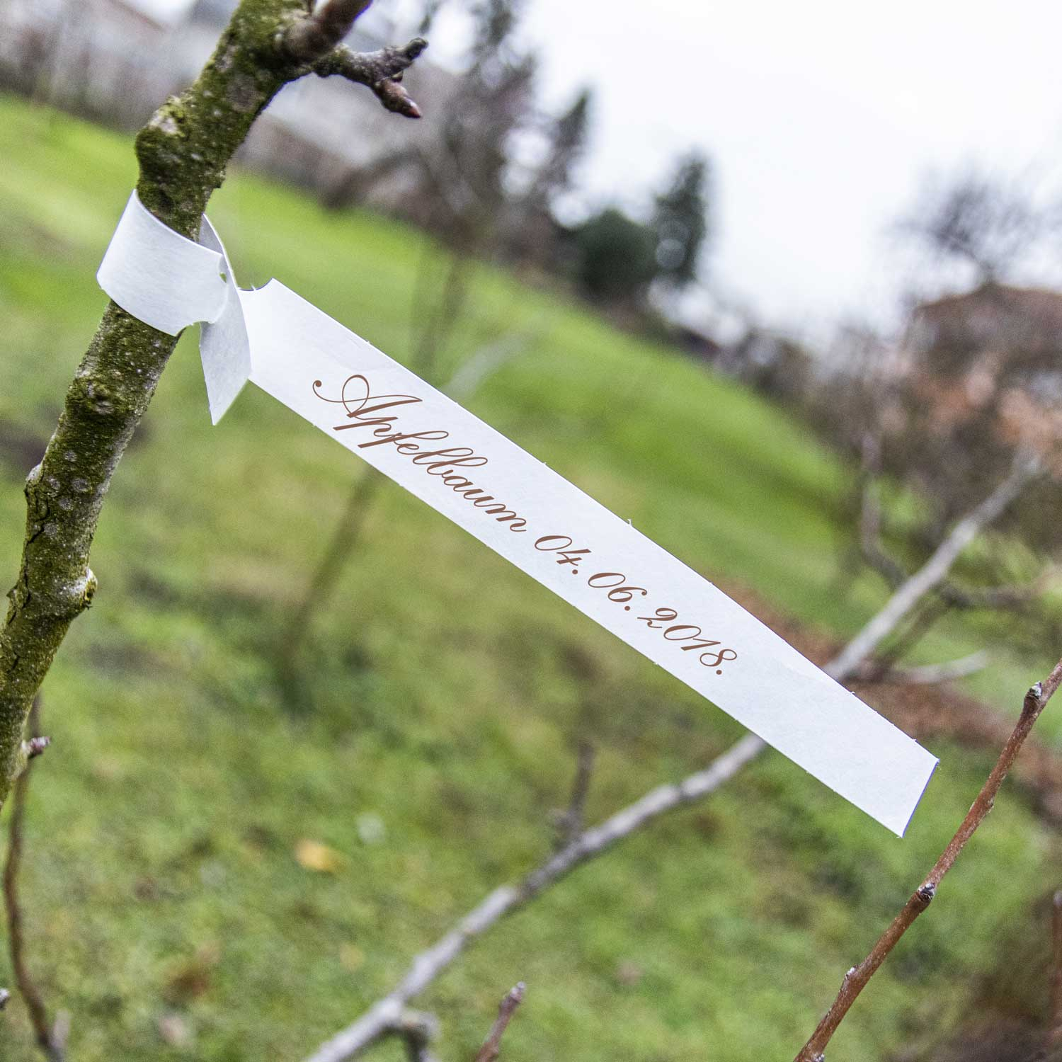 Materiale Tyvek resistente ad acqua e strappi per etichettatura duratura.